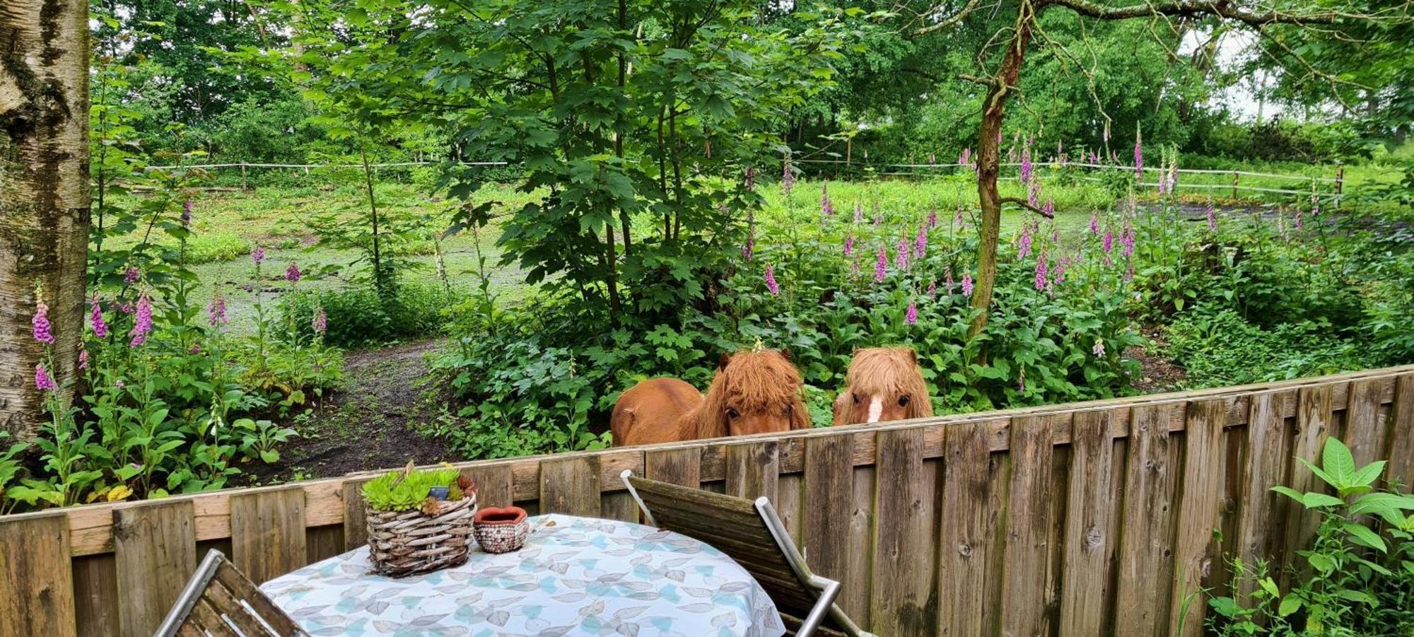 Rust en Stilte in de Natuur Onstwedde Exterior foto